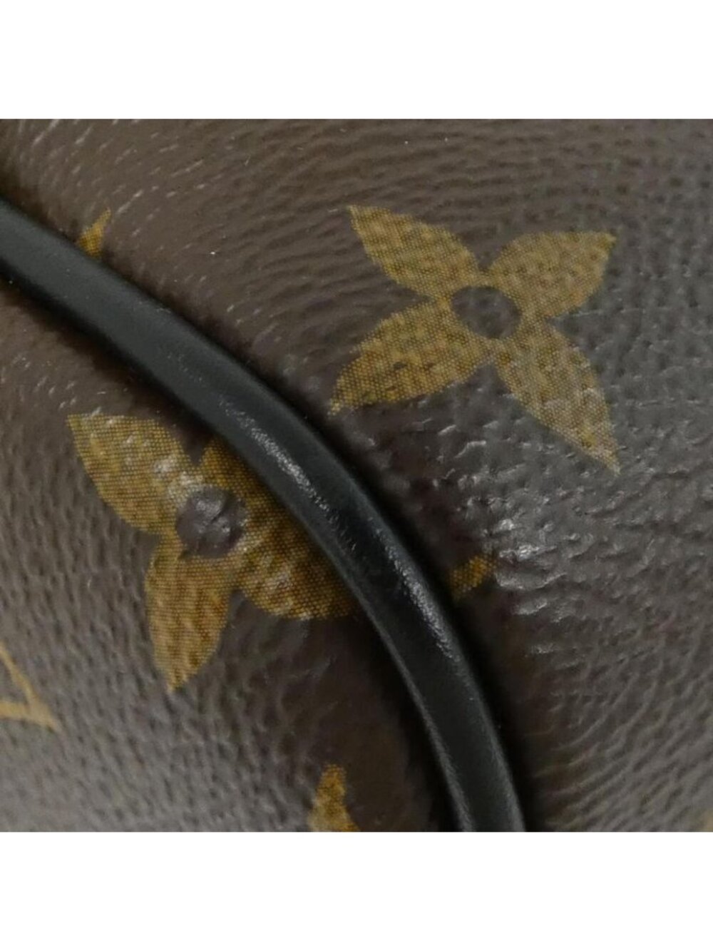 Louis Vuitton Monogram Macassar Josh Backpack - Picture 3 of 8